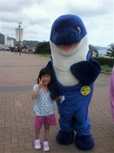 鴨シー更新