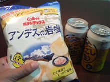 アンデスの岩塩