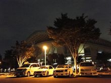 ストライプ・ナイツ