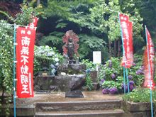 雨なのにアジサイそして温泉 