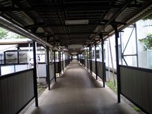 受講 難病対策の実情とグローバル化 受講 難病対策の実情とグローバル化