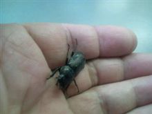 深夜のお客様