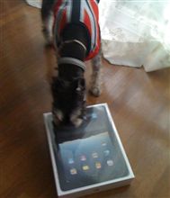 やっと手にしたiPad・・