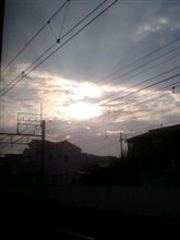 晴れました～