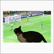 World Cup 日本代表 ...
