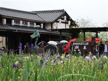 潮来あやめ祭り