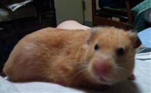 来月で1歳 ♪