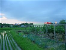 出張ってました。