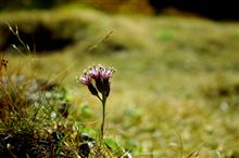 ハンター健康法その４「食事の順番」