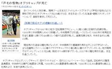 芦毛の怪物