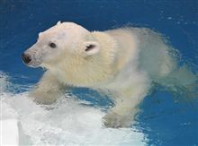 その時が…来たァ～(^.^)/~~~