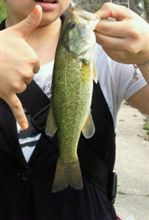 釣り