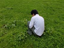 静岡県定例オフ 