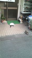 それぞれの関係