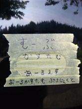 エンブレムチューン? エンブレムチューン?