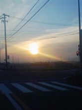 今から静岡 今から静岡