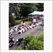 今日は……
