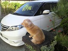 一代にて末代。
