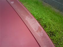 ハゲてきた・・・orz