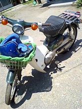 カブ復活！・・・てほどでもない？