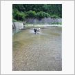 川遊び(^^)････