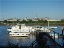 シロギス（松陽丸）