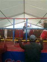何となく休戦。