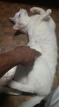 あちゃー