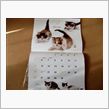 ほのぼの子ねこ。2010年カ ...