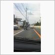 面白そう･･･