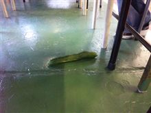 なんでそんなとこに？