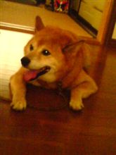 あづい