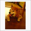 あづい