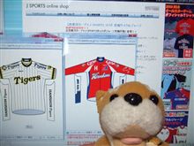 こんなサイクルジャージはいかがでしょう？