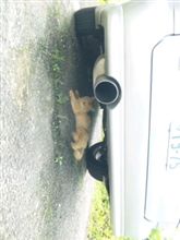 朝から暑い日ですね 朝から暑い日ですね