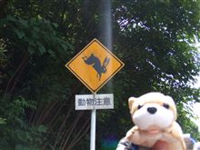 本日はこんな標識を見つけました