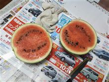 スイカ2号機　御開帳！！
