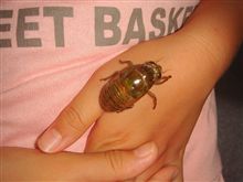 ウカウカしてると。。。