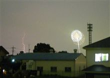 夏真っ盛りですねぇ