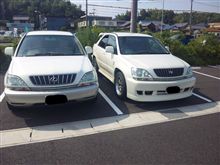 熱中症寸前で比べてみた