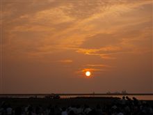 海の大花火大会にお出かけ
