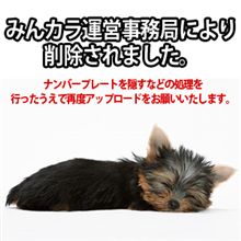 嬉しいの一言♪
