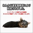 嬉しいの一言♪