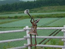 ドライブ~志賀草津道路、野反湖、嬬恋パノラマライン、ひまわり~ ドライブ~志賀草津道路、野反湖、嬬恋パノラマライン、ひまわり~