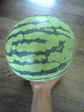 ボーリングのボールよりも重い………