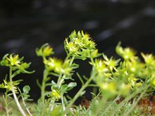 環境系の項目追加（＾ｖ＾）ｖ　アウトドアライフを通じて…