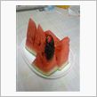 夏の色　暑中お見舞い☆