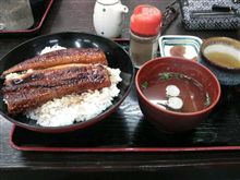 夏バテ気味なので