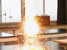 一日体験学習