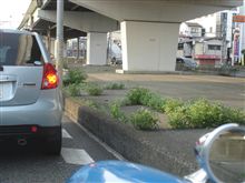 路傍の夏草に